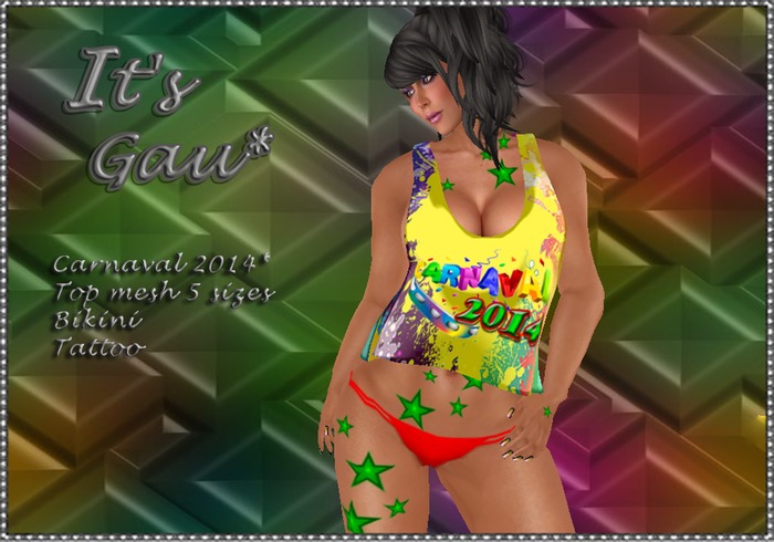 *It's Gau*Carnaval 2014*