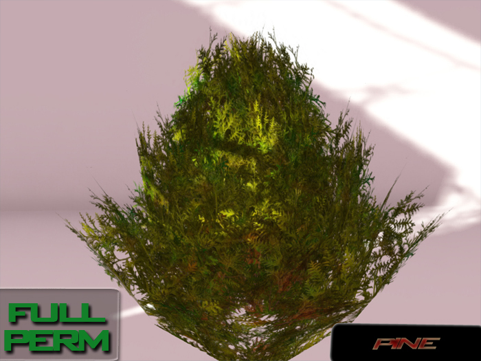+ Pine + FULL PERM 1