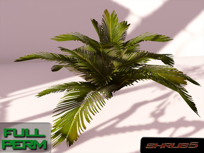 + Trop Shrub5 + FULL PERM 4