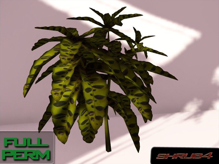 + Trop Shrub4 + FULL PERM 4
