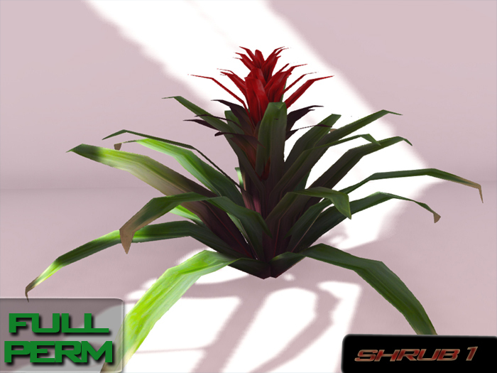 + Trop Shrub1 + FULL PERM 3