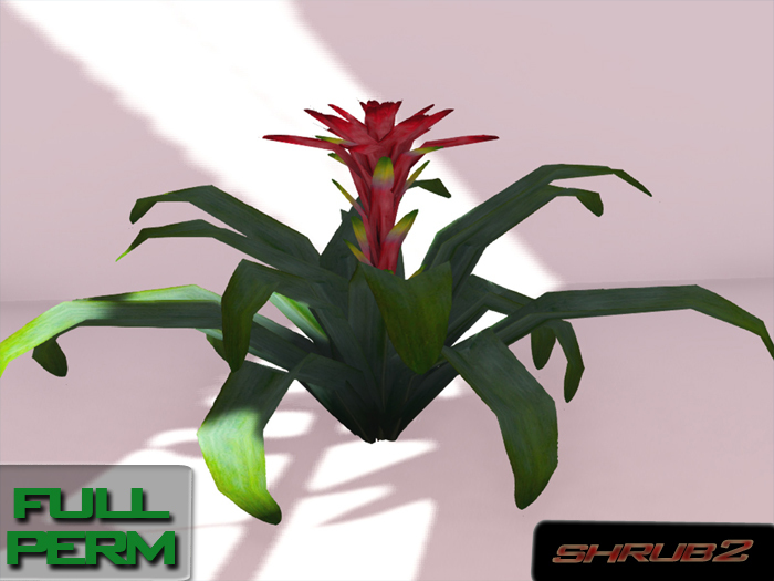 + Trop Shrub.2 + FULL PERM 4