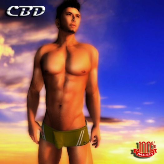 CBD - Light Blue Mesh Swimwear