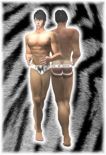 Kohnke Briefs Animal - Tiger