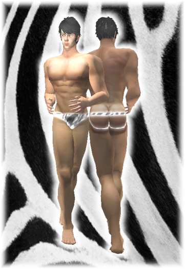 Kohnke Briefs Animal - Zebra