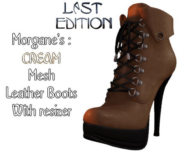 Morgane's CREAM Mesh Boots