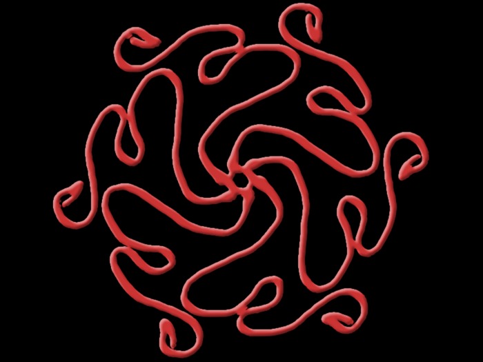 HHVET FP Squiggle Texture