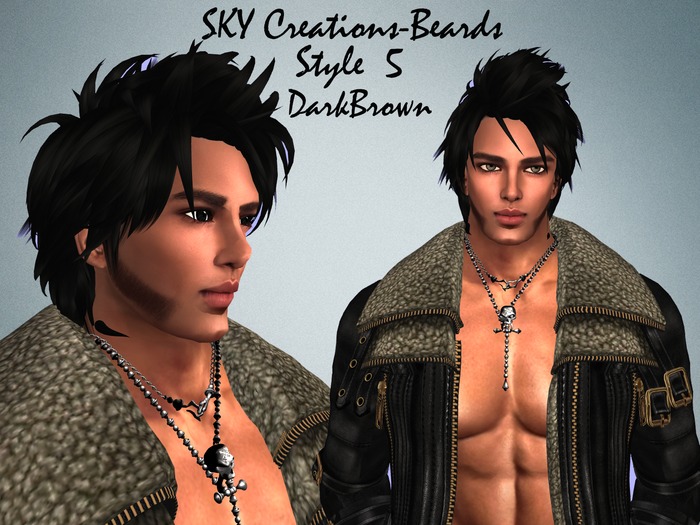 SKY Creations Beards-DarkBrown-style 5