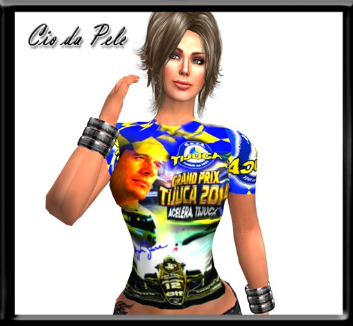 ESCOLA DE SAMBA 2014 TIJUCA FEM