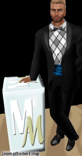 Tuxedo Black Grey vest <box>