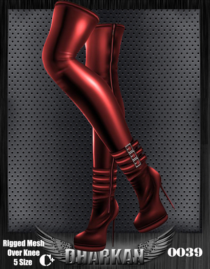 Dharkan - 0039 Rigged Mesh Over Knee C+