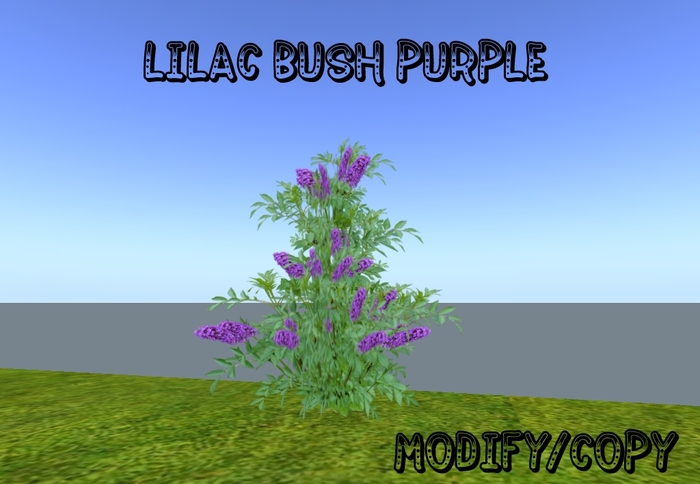 Lilac Bush Purple (Flexi)
