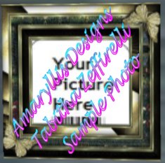 Gold Butterfly Frame Picture Changer