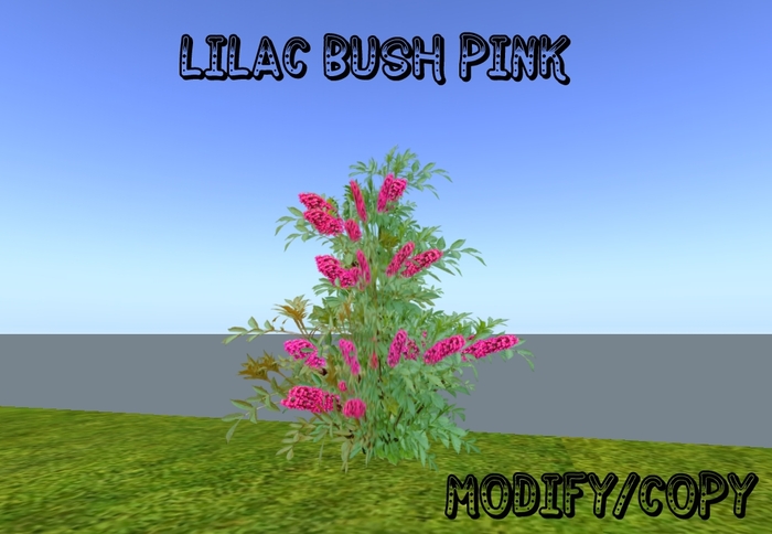 Lilac Bush Pink (Flexi)
