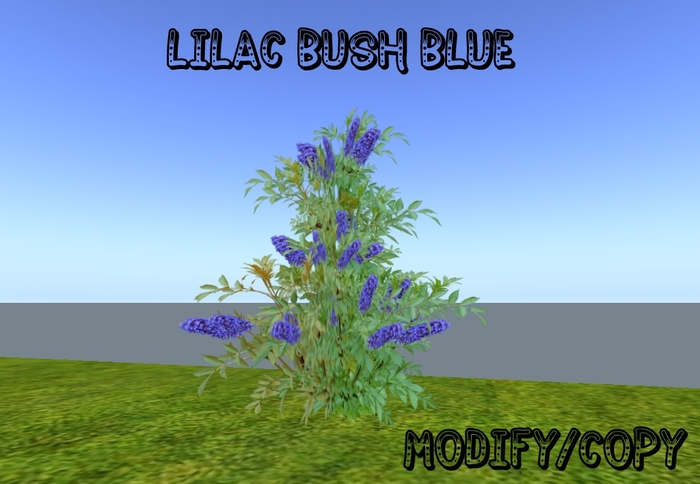 Lilac Bush Blue (Flexi)