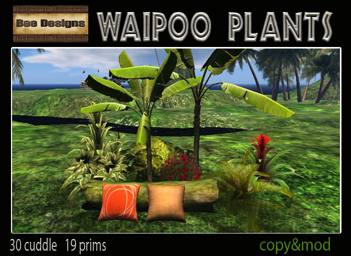 Waipoo plants