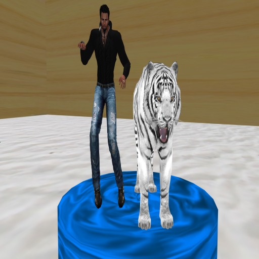 Power Angels dance Tiger man box