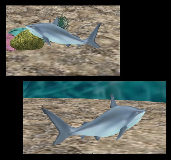 Wingsong Roaming Fish (THIN) - Shark Box