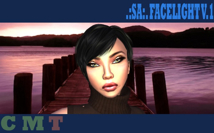 .:SA:. FaceLight V1