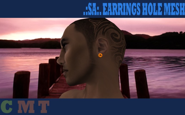 .:SA:. EARRINGS HOLE MESH