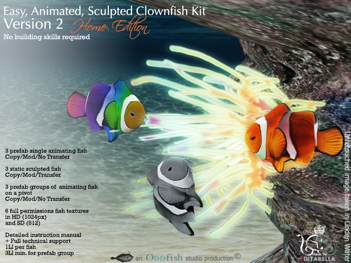Easy, Animated, Sculpted Clownfish Kit (Home Edition)