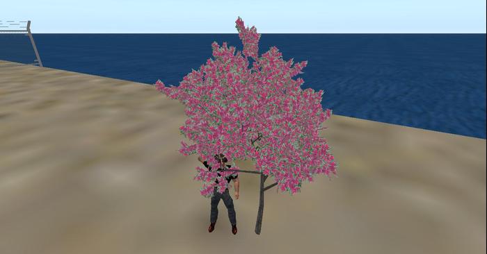 Flowering Crab Apple Tree - MESH - copy / modify / re size
