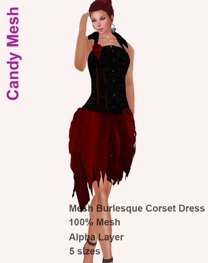 .::CM::. Mesh Burlesque Corset Dress RB