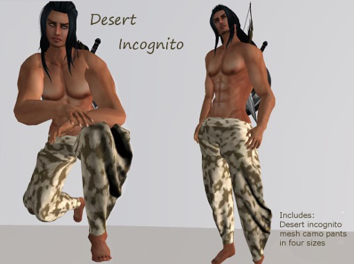 DESERT INCOGNITO@ENCHANTED