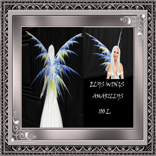 Elys wings amarillys box