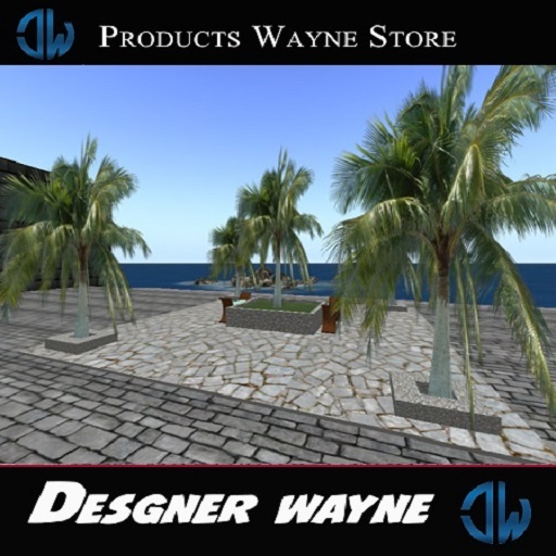 DW pracinha wayne