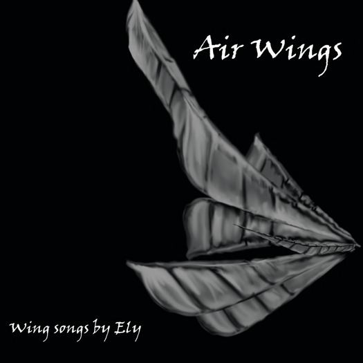 Ely's air wings