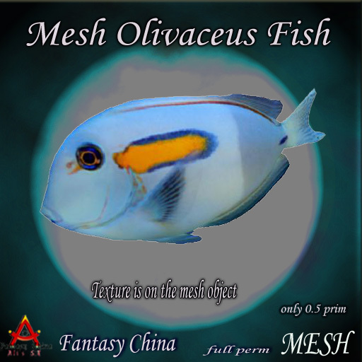 Mesh Olivaceus Fish Full perm 