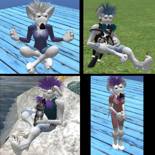 Wingsong Avatar RAT - White Box