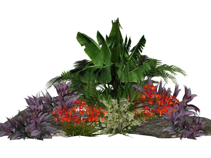Tropical Plant Arrangement 11
