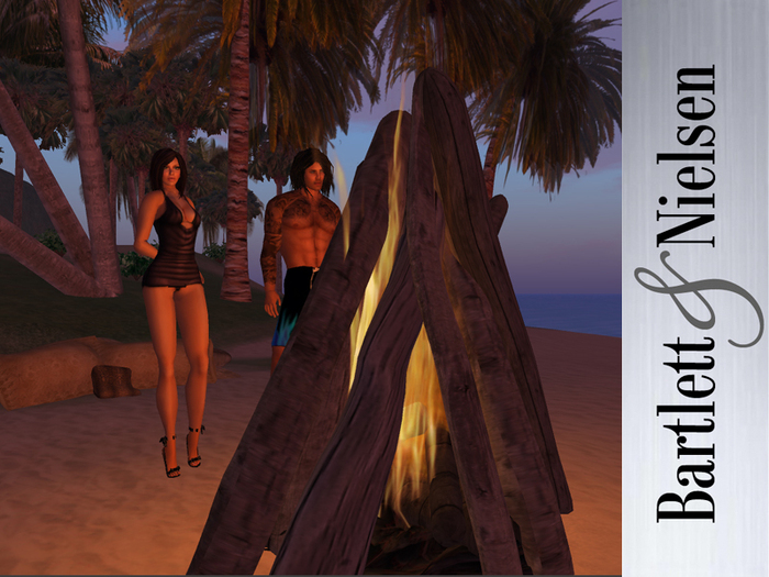 Beach Bonfire Campfire