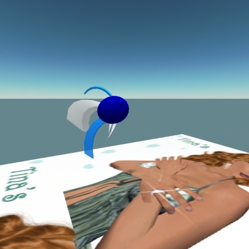 Beta fish (tito) BLUE