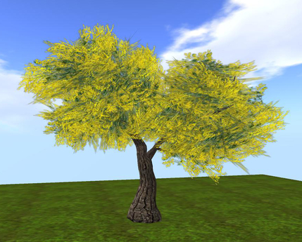Second Life Marketplace - Mimosa tree