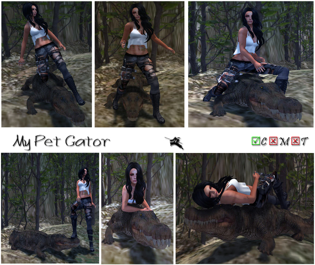 Verocity - My Pet Gator (Clearance)