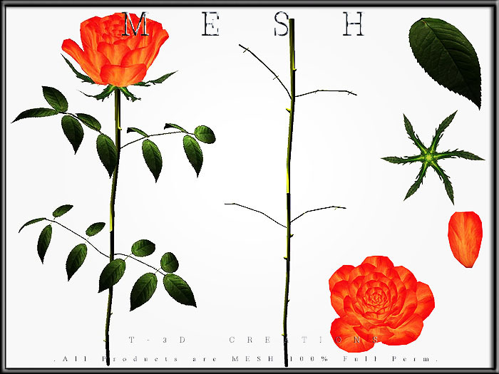 Feliz Chain - 1 Ring - Full Perm - BOX