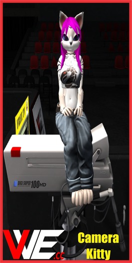 Camera Kitty Wall Scroll