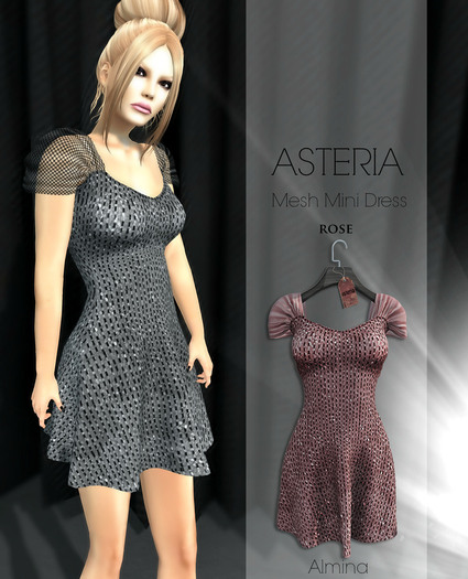 Asteria Creations - Almina Mesh Mini Dress - Rose