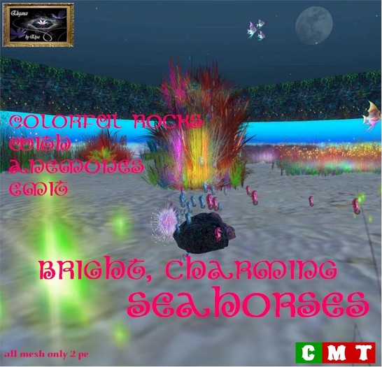 *EbE* Colorful Fishes Rocks & Anemone (boxed)