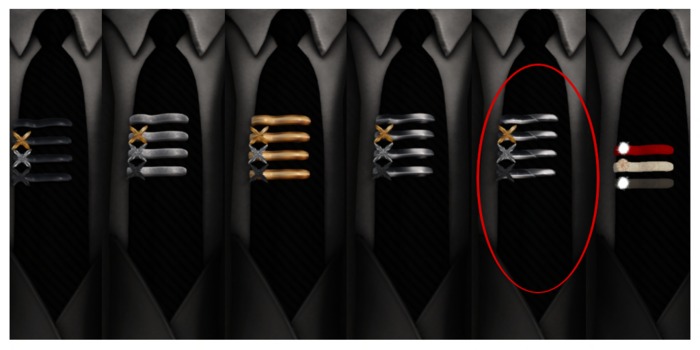 *Kona@!s Tie Pin set10