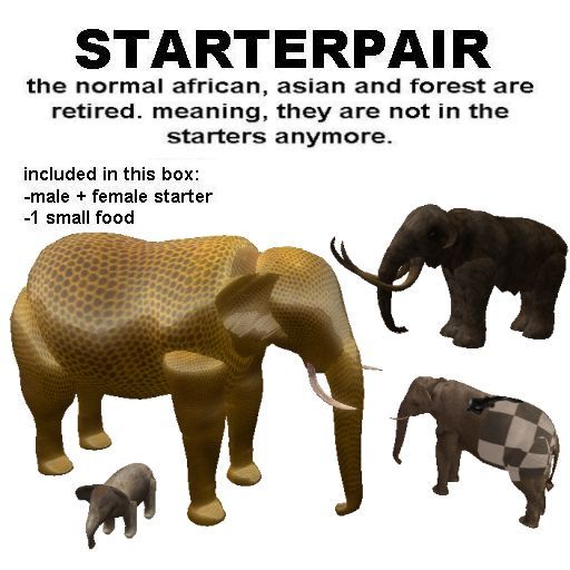 he starter 5.2 *boxed*