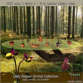 -Hanaya- Lady Slipper Orchid Collection [mesh]