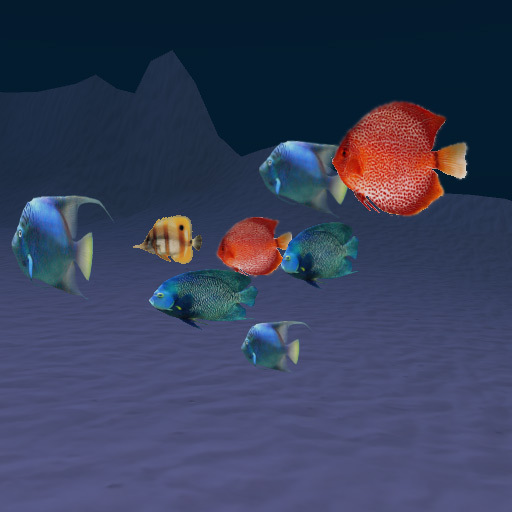 8 tropical mixed fish