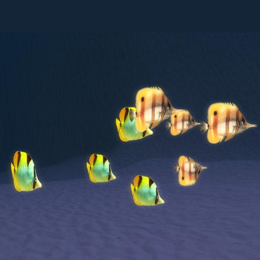 8 mixed lighting neon fish