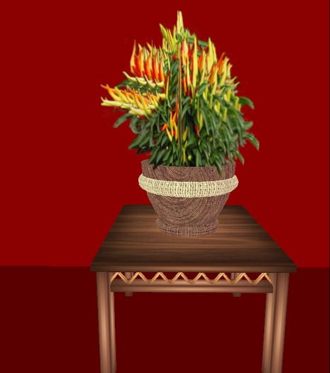 POTTED PEPPERS - 5 PRIMS