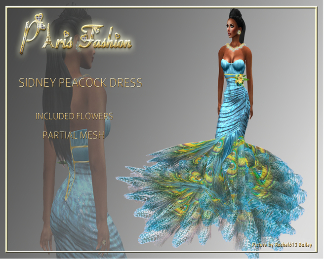 PARIS FASHION -Sidney Peacock Dress