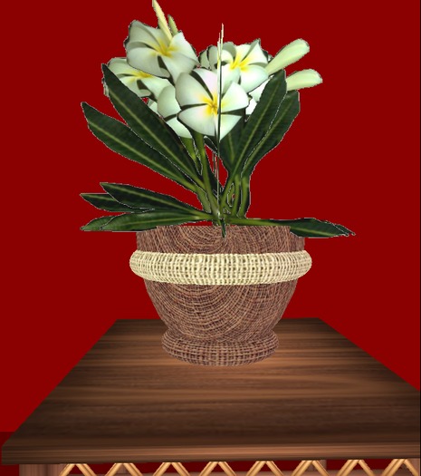 POTTED WHITE FLOWER - 5 PRIMS